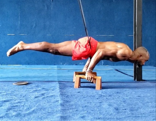Plain Micro Wooden Parallette Push Up Bars Gymnastics Yoga Calisthenics Gym 