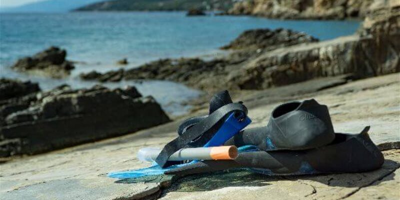 Things to Do in Santa Cruz, Galapagos – An Ultimate Guide: Snorkeling, Day Trips, and More