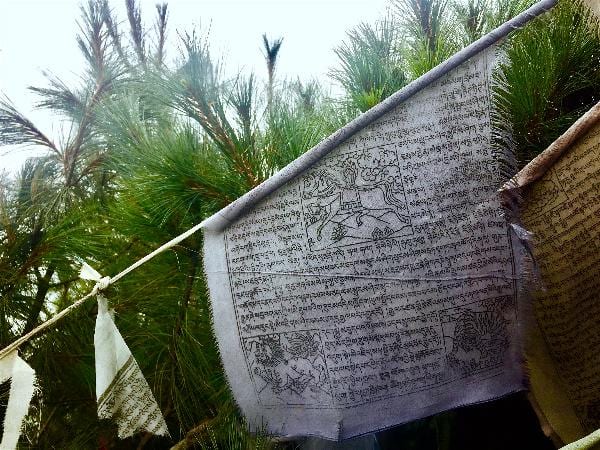Prayer flags with holy text string between the brush on a rest day hike to the Everest View Hotel