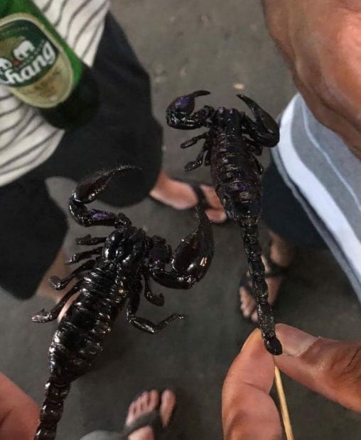 On Khao San Road you can find anything youu could ever want...and a lot of things you wouldn't, including scorpions to snack on