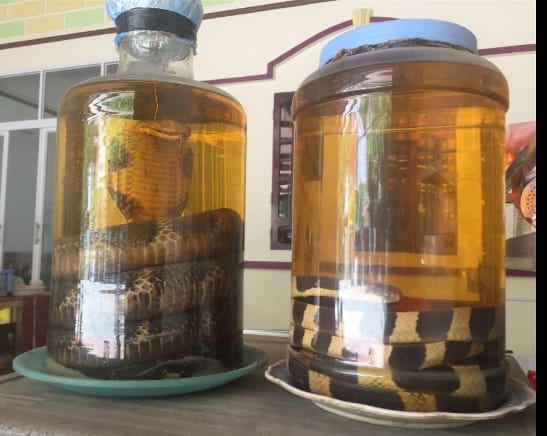 Here's a larger bottle of snake wine, in case the other wasn't enough