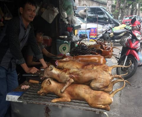 A picture of the "dog vendor" in Hanoi, Vietnam. Want to try dog? Aim for the first half of the month when dog is a "good luck meal"