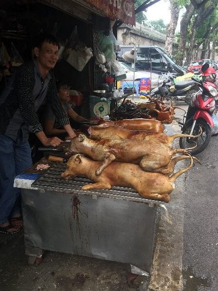 A dog vendor in Hanoi, Vietnam | A Brother Abroad