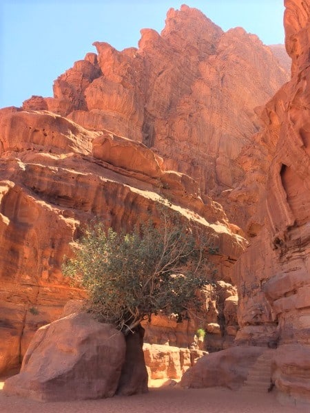 wadi rum bedouin camp tour