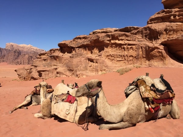 wadi rum bedouin camp tour