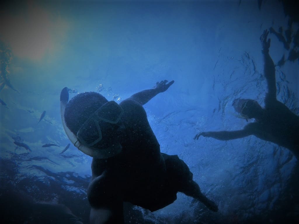 The Adventure 8: Freediving, Outdoor Adventure Travel