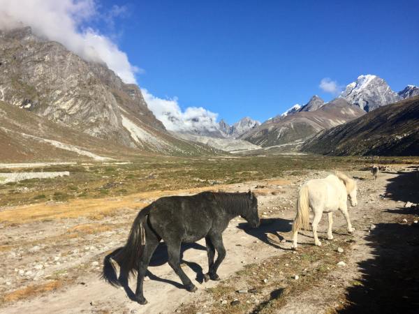 Everest Base Camp Trek Cost | Cheaper and more enjoyable to do independently