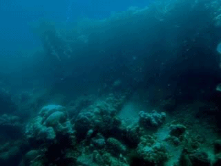 Skeleton Shipwreck