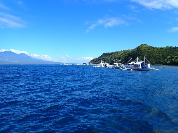 Diving Apo Island - Freediving the Philippines