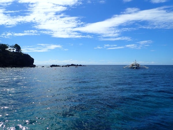 Apo Island Diving & Freediving the Philippines