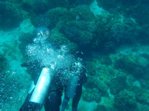 Diving Apo Island - Freediving the Philippines