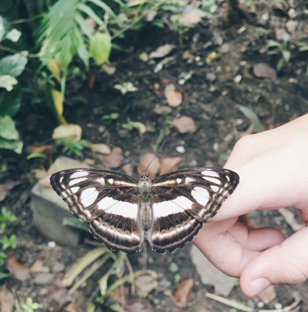 siquijor tourist