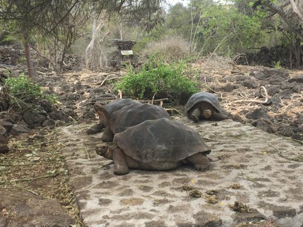 Galapagos packing list