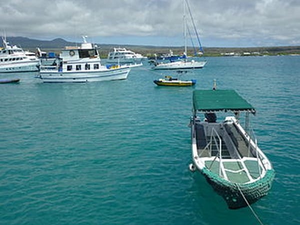 Las Grietas Galapagos: A guide to swimming in a crack in the earth