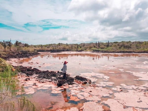 Las Grietas Galapagos: A guide to swimming in a crack in the earth