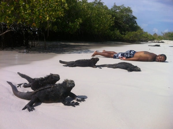 Things to do in Isla Isaella Galapagos Islands