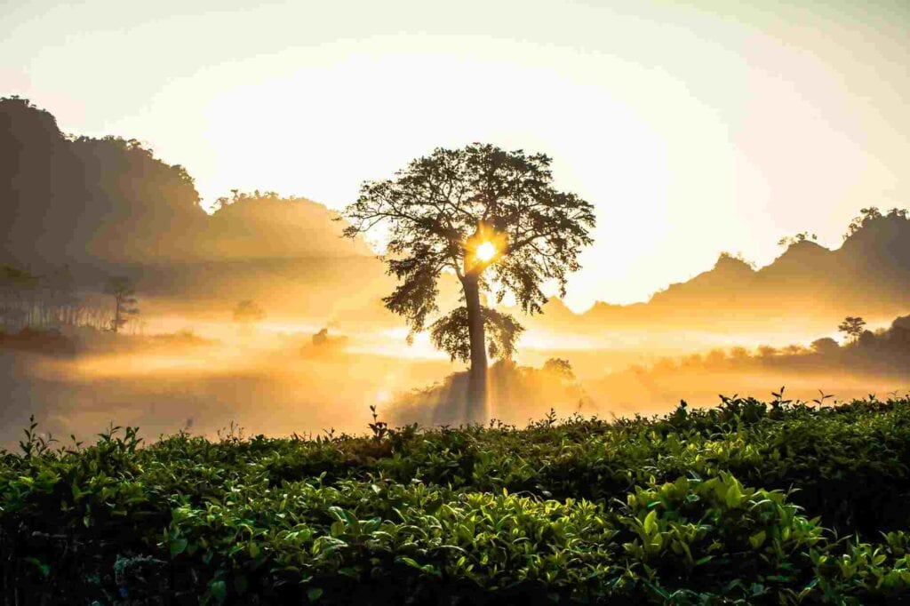 Best Time Of Year To Visit Sri Lanka: When To Go, Monsoon Season, Weather, And More