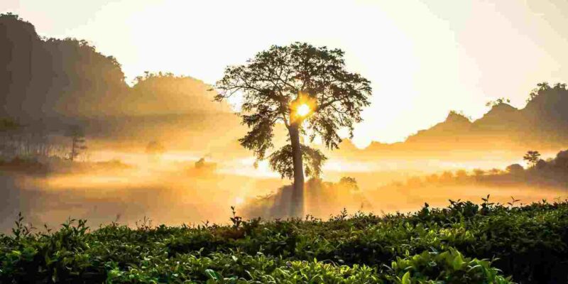 Best Time Of Year To Visit Sri Lanka: When To Go, Monsoon Season, Weather, And More