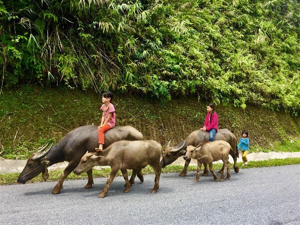 Vietnam - The 2 Week Routes for Backpacking the World