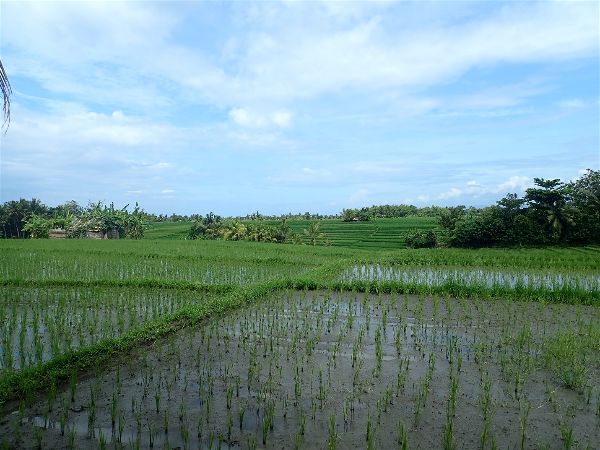 Bali - The 2 Week Routes for Backpacking the World