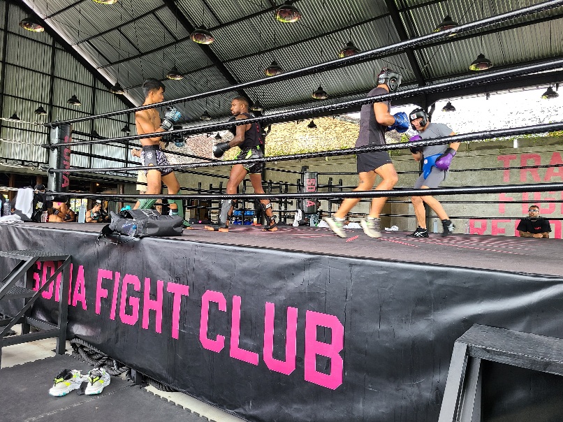 Strong latin boxing woman on the ring at... - Stock Photo [93543370] - PIXTA