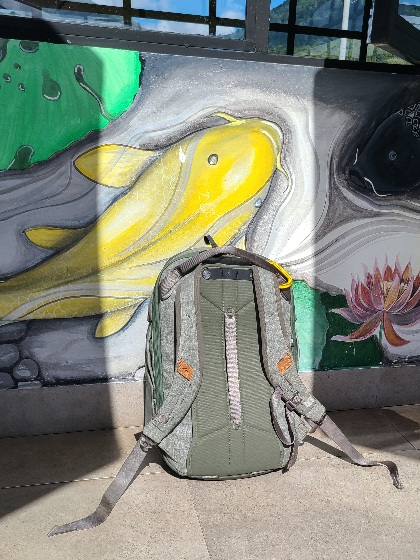 An Obsessive Peak Design Travel Backpack Review A 30L backpack perfect for daily life travel and more A BROTHER ABROAD