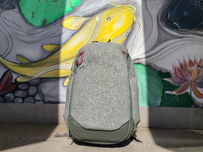 Peak Design Everyday Backpack — Comprehensive Review