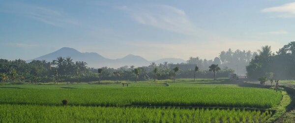 The Complete Guide to Moving to Bali as a Foreigner: Costs, Pros and Cons, and Perspectives of a Nomad on Bali