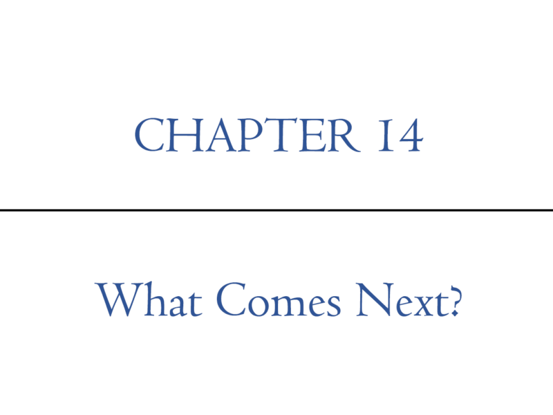 Chapter 14: What Comes Next? | Digital Nomad Nation