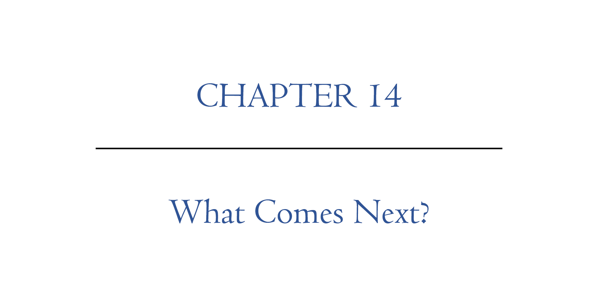 Digital Nomad Nation Book Chapter 14 | What comes next?