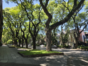 Living Abroad vs. Travling Abroad